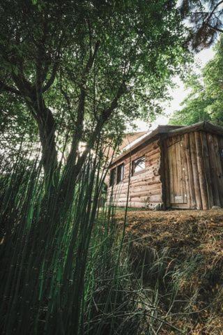 La En Bois Chalet Villemur-sur-Tarn